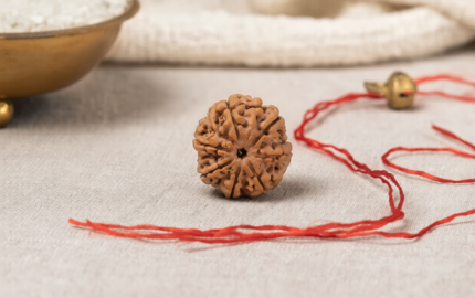 Natural 7 Mukhi Rudraksha (Nepali)