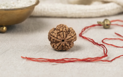 Natural 5 Mukhi Rudraksha (Nepali)