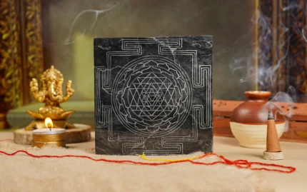 Premium Handmade Shaligram Shree Yantra