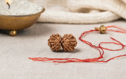 Natural Gauri Shankar Rudraksha